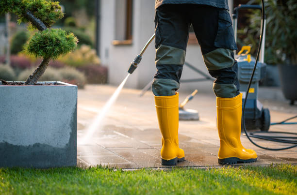 Best Pressure Washing Near Me  in Lewisburg, WV